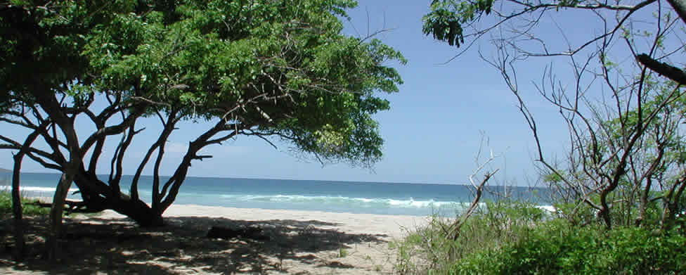 Costa Rica Beaches Properties